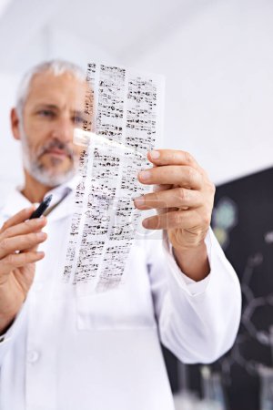 Photo for Having a look at your DNA profile. a male scientist analyzing the results of a DNA test - Royalty Free Image