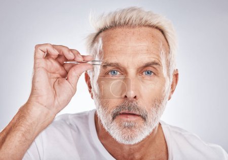 Téléchargez les photos : Man, face or eyebrow tweezing grooming on gray studio background for self care, healthcare wellness or beauty aesthetic. Portrait, mature model or hair removal tweezer in cleaning growth maintenance. - en image libre de droit