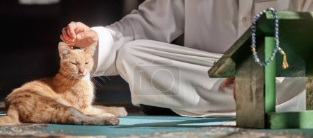 Muslim, cat or hands in prayer on carpet for peace, mindfulness or support from Allah in holy temple or mosque. Kitten, Islamic or spiritual person praying to worship God on Ramadan Kareem in Qatar.