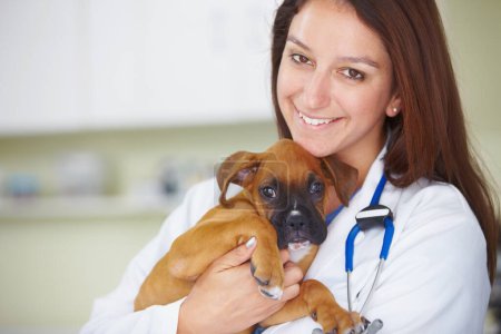 Photo for I love my patients. Portrait of a friendly woman vet holding a puppy - Royalty Free Image