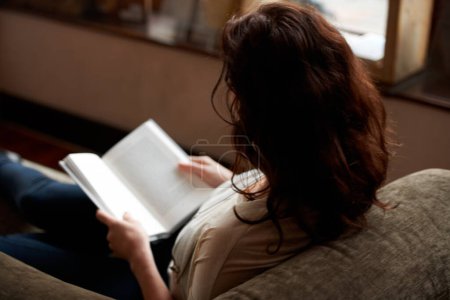 Téléchargez les photos : Quiet moment by window light. A rearview shot of a young woman reading a book - en image libre de droit