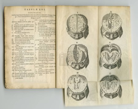 Foto de Old medicine and science journal. An old medical book with its pages on display - Imagen libre de derechos