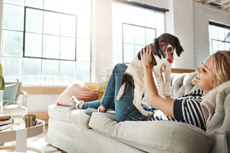 Woman, sofa and lift dog in home living room for love, relax and pet friendship for smile, happy and quality time. Girl, couch and holding puppy in air for happiness, bonding and together in lounge.