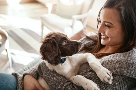 Téléchargez les photos : Puppy, happy and woman at home on a living room couch with animal bonding with care. Pet love, dog and person with happiness at home with a smile from dogs on a lounge sofa together feeling calm. - en image libre de droit