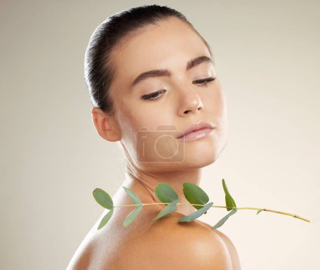 Téléchargez les photos : Woman, skincare and beauty with green plant on skin for natural dermatology for cosmetic product. Glow on face of aesthetic model in studio for sustainable cosmetics or makeup for health and wellness. - en image libre de droit