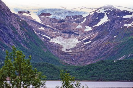 Téléchargez les photos : Calotte glaciaire Svartisen dans le nord de la Norvège. - en image libre de droit