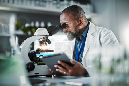 Foto de Black man scientist, microscope and plants in lab analysis, biodiversity study and vision for growth with tablet ux. Agriculture science, studying microbiome and laboratory research for future goal. - Imagen libre de derechos