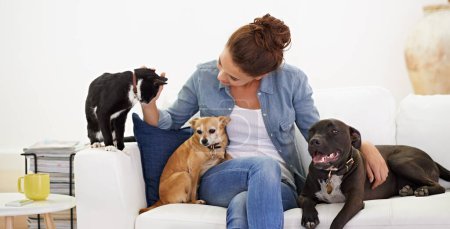 L'amour déteint sur tout le monde dans sa maison. une belle jeune femme relaxante sur le canapé avec son chien et son chat