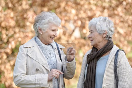 Téléchargez les photos : Ami à ami, cœur à cœur. Deux femmes âgées ayant une conversation amicale dehors avec des feuilles d'automne en arrière-plan - en image libre de droit