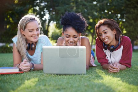Photo for Making studying a fun experience. Three young woman lying on the grass in a park and using a laptop together - Royalty Free Image