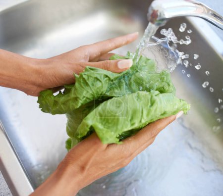 Photo for Crisp and clean. a young woman washing a head of lettuce in a basin - Royalty Free Image