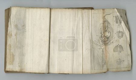 Foto de Aged medical pages. An old medical book with its pages on display - Imagen libre de derechos