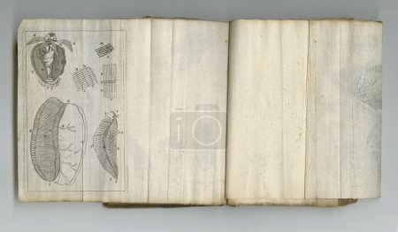 Foto de Old medical script. An old medical book with its pages on display - Imagen libre de derechos