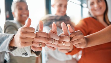 Téléchargez les photos : Hands, team and thumbs up for winning, deal or success in coordination or corporate achievement at office. Hand of group showing thumb sign in teamwork celebration for partnership, agreement or win. - en image libre de droit