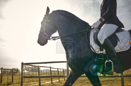 Téléchargez les photos : Equestrian, person on horse in countryside, riding and sport with healthy active lifestyle, nature and jockey on farm or ranch. Rider outdoor with animal, sports and fitness with competition. - en image libre de droit