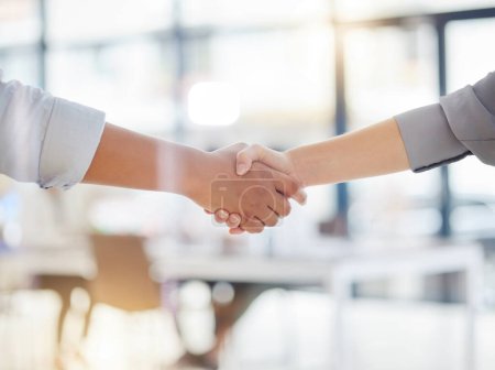 Photo for Handshake closeup, partnership and business meeting, collaboration or b2b welcome, thank you and success. People shaking hands for job interview, career promotion or hiring deal in office emoji sign. - Royalty Free Image
