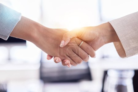 B2B partnership, support or business people handshake for welcome, collaboration or company teamwork, success and innovation. Zoom, trust or women shaking hands for deal, thank you or job promotion.