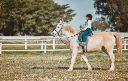 Téléchargez les photos : Horse riding, child equestrian and countryside with mockup and girl ready for sports training. Countryside, pet horses and outdoor sport with ranch animal in nature with mock up, mountains and grass. - en image libre de droit