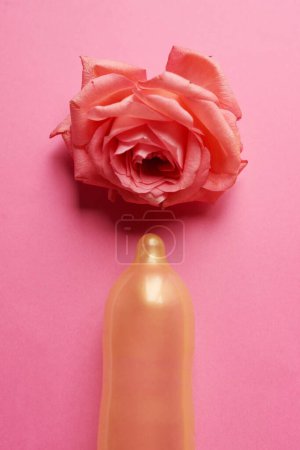 Photo for The seed wont be planted again here. Studio shot of a condom with a pink rose on top of it placed against a pink background - Royalty Free Image