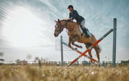 Téléchargez les photos : Training, jump and woman on a horse for a course, event or show on a field in Norway. Equestrian, jumping and girl doing a horseback riding obstacle during a jockey race, hobby or sport in nature. - en image libre de droit