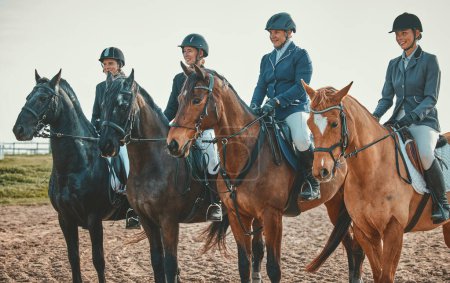 Téléchargez les photos : Equestrian, horse riding group and sport, women outdoor in countryside with rider or jockey, recreation and lifestyle. Animal, sports and fitness with athlete, competition with healthy hobby. - en image libre de droit