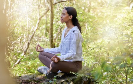 Zen, Meditation und Frau in der Natur oder im Wald in Ruhe, spirituell und Yoga für Bewusstsein und Glauben. Achtsamkeit, Wald und weibliche Person entspannen in grünen Bäumen für Wellness und gesunden Lebensstil.