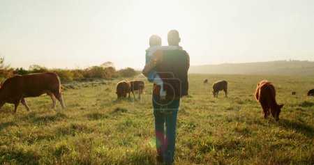 Famille, ferme et bétail avec une fille et un père marchant sur un champ ou une prairie d'herbe dans l'industrie agricole. Agriculture, durabilité et agriculture avec un homme agriculteur et sa fille s'occupant des vaches.