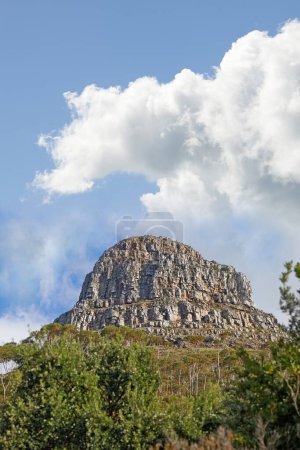 Téléchargez les photos : Le sommet de Lions Head. Une vue sur le sommet de Lions Head au Cap, Afrique du Sud - en image libre de droit