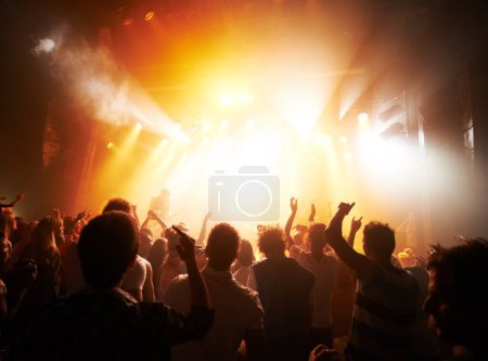 Music concert, band or silhouette audience with music, rock and live performance, energy and festival with men or women. People, dance or lights at musical event, crowd or dancing to audio with stage.