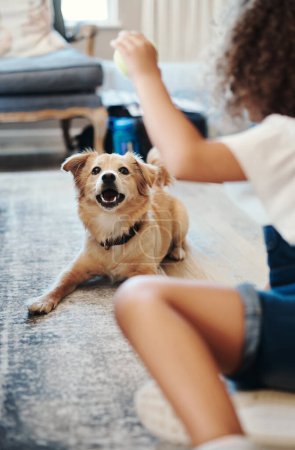 Photo for Hes always ready for fetch. an unrecognizable child holding a tennis ball and playing with her dog in the living room at home - Royalty Free Image