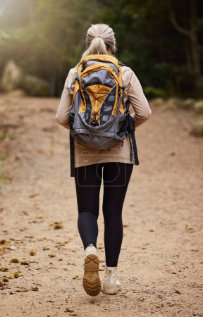 Girl hiking, back view or woman in nature, forest or wilderness for a trekking adventure. Freedom, backpack healthy female hiker walking in a natural park or woods for exercise or wellness on holiday.