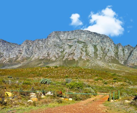 Téléchargez les photos : Panorama montagneux sud-africain. Un pittoresque flanc de montagne en Afrique du Sud - en image libre de droit