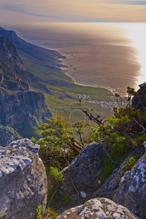 Téléchargez les photos : La montagne de la Table. Vues de la montagne de la Table, Afrique du Sud - en image libre de droit