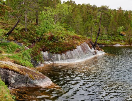Foto de Hermoso paisaje noruego. Paisaje en junio cerca de Bodo, Nordland, Noruega - Imagen libre de derechos
