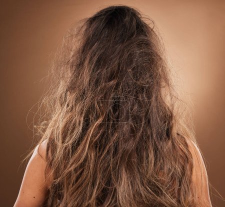Espalda, cabello y encrespado con una mujer en el estudio sobre un fondo marrón para el cuidado del cabello o el tratamiento de salón. Reparar, dañado y desordenado con una hembra en la peluquería para la restauración de queratina o remedio.