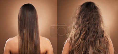 Cuidado del cabello, belleza y espalda de mujer en estudio con peinado sucio brillante, limpio y desordenado. Salud, autocuidado y modelo con nudos antes de queratina, brasileño o botox tratamiento capilar por fondo marrón.