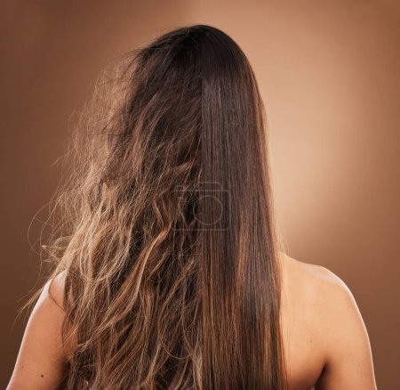 Frizz, daño por calor y cabello de una mujer aislada sobre un fondo marrón en un estudio. Espalda, tratamiento de salón y señora que muestra los resultados del tratamiento con queratina, antes y después de un procedimiento de peluquería.