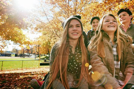 Foto de La felicidad nunca termina. un grupo de jóvenes amigos disfrutando de un día en el parque juntos - Imagen libre de derechos