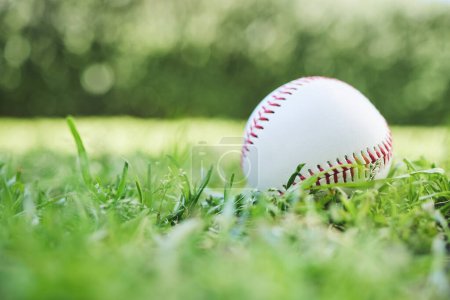 Téléchargez les photos : Baseball, sport et fitness avec une balle sur l'herbe, gros plan en attente d'un match ou d'une compétition. Terre, loisirs et entraînement avec une balle molle sur une pelouse, un terrain ou de l'herbe pour une activité sportive en plein air. - en image libre de droit