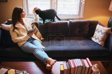 Foto de El tiempo de inactividad no mejora. una joven atractiva usando una tableta digital en el sofá y acariciando cariñosamente a su gato - Imagen libre de derechos