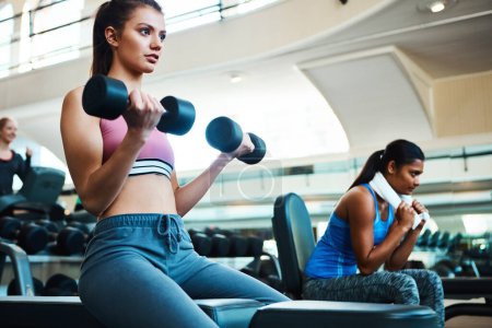 Photo for Fitness and focus go hand in hand. an attractive young woman working out with dumbbells at the gym - Royalty Free Image