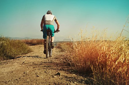 Foto de Es terapéutico. un hombre en bicicleta por el campo - Imagen libre de derechos