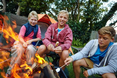 Photo for Favorite part of camping Roasting marshmallows around the fire. three young boys cooking marshmallows over the campfire - Royalty Free Image
