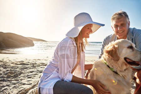 Téléchargez les photos : On adore passer du temps avec notre chien. un couple d'âge mûr passe la journée à la plage avec son chien - en image libre de droit