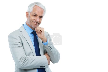 Foto de Maestro del mundo corporativo. Retrato de estudio de un hombre de negocios maduro con la mano en la barbilla aislada en blanco - Imagen libre de derechos