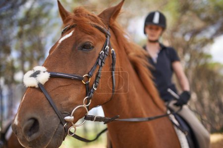 Téléchargez les photos : Vivre la nature à cheval. Une jeune femme va faire un tour sur son cheval marron - en image libre de droit