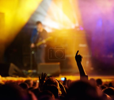 Téléchargez les photos : Profiter du festival de musique. une grande foule lors d'un concert de musique - en image libre de droit