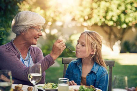 Foto de No se cocina como las abuelas. una abuela alimentando a su nieta durante un almuerzo familiar al aire libre - Imagen libre de derechos