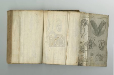 Foto de Un tomo de ciencia rústica. Un viejo libro médico con sus páginas en exhibición - Imagen libre de derechos