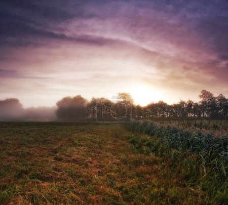 Téléchargez les photos : Le matin se lève dans une prairie danoise. Le soleil se lève sur une prairie danoise brumeuse - en image libre de droit